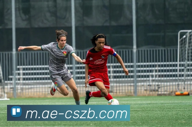 App Interface Preview